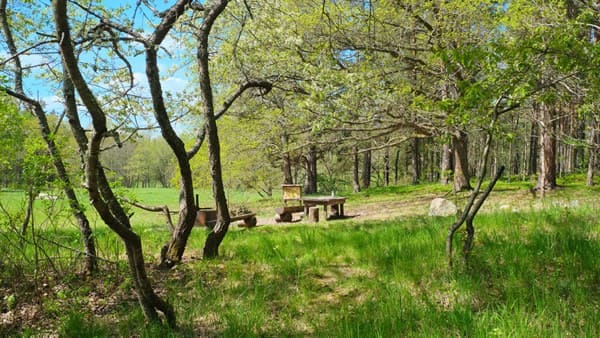 Archivo:Murder Malady - 04.jpg