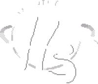 Hansen Software - Logo.png