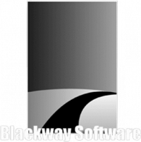 Blackway Software - Logo.png