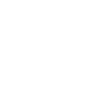 Whalestork Interactive - Logo.png