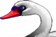 Loom - Cisne2.png