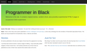 Programmer in Black.png