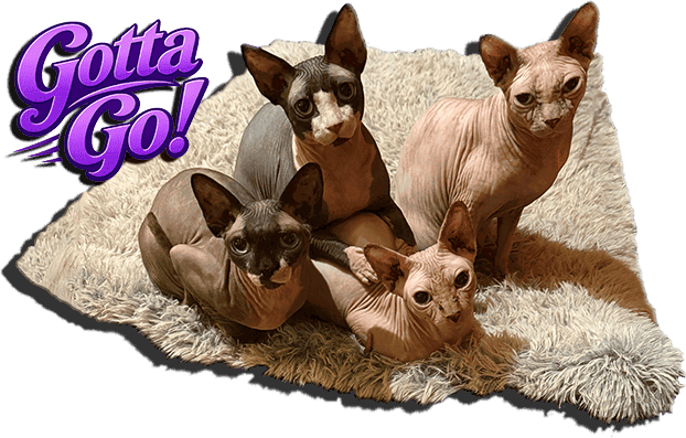 Archivo:Gotta Go - Logo.png