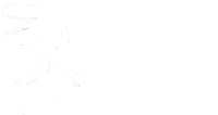 BlooM Team - Logo.png