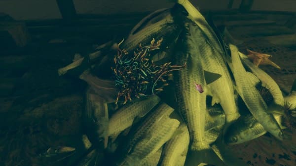 Archivo:An Abyss of Dreams - 10.jpg