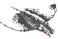 EcoQuest - The Search for Cetus - View582-1.gif