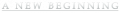 A New Beginning - Logo.png