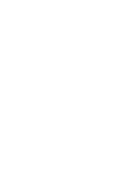 Glob Games Studio - Logo.png