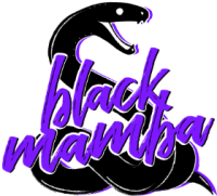 Black Mamba Studio - Logo.png
