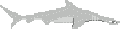 EcoQuest - The Search for Cetus - View565-0.gif