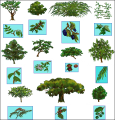 Conquests of the Longbow - The Legend of Robin Hood - Arboles Druidas.png