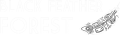 Black Feather Forest - Logo.png