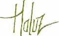 Haluz Series - Logo.png