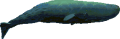 EcoQuest - The Search for Cetus - View850-0.png